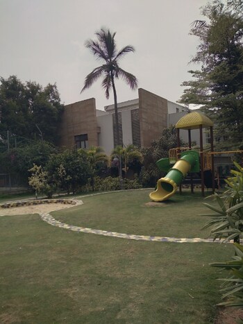 NR Orchid Gardenia