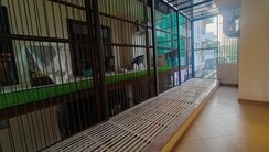 3 BHK + Servant Room Builder Floor For Sale in Unitech Greenwood City Apartment