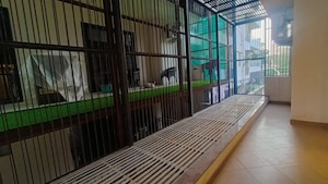 Balcony in 3 BHK Builder Floor at Unitech Greenwood City Apartment, Sector 45 – for Sale