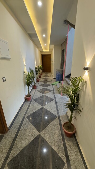 3 BHK Apartment For Rent in Palm Residency Chhatarpur, Chattarpur