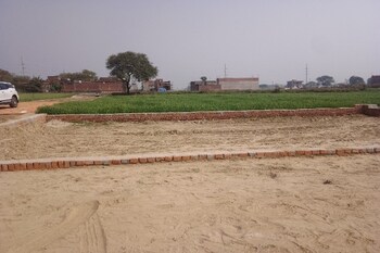 Plot for Sale in Sector 115, Mohali