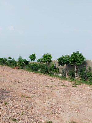 Plot Area in  Plot at Amolik Aster Woods, Sector 98 – for Sale