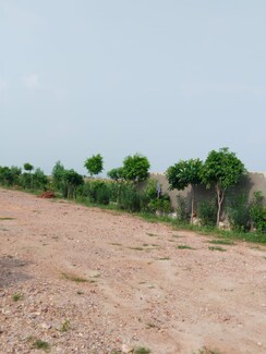 Plot For Sale in Amolik Aster Woods