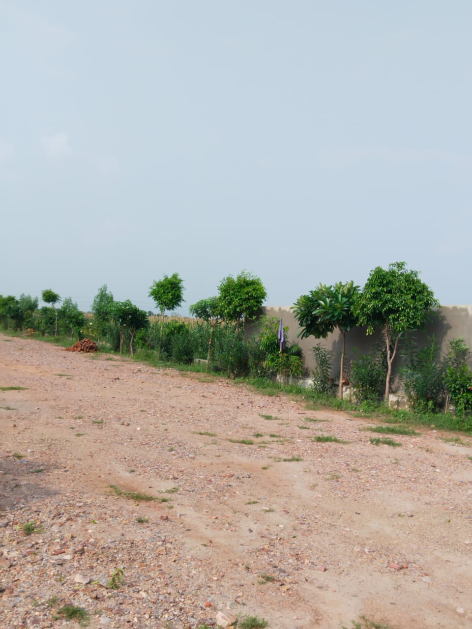 Plot For Sale in Amolik Aster Woods