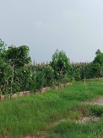 Plot Area in  Plot at Amolik Aster Woods, Sector 98 – for Sale