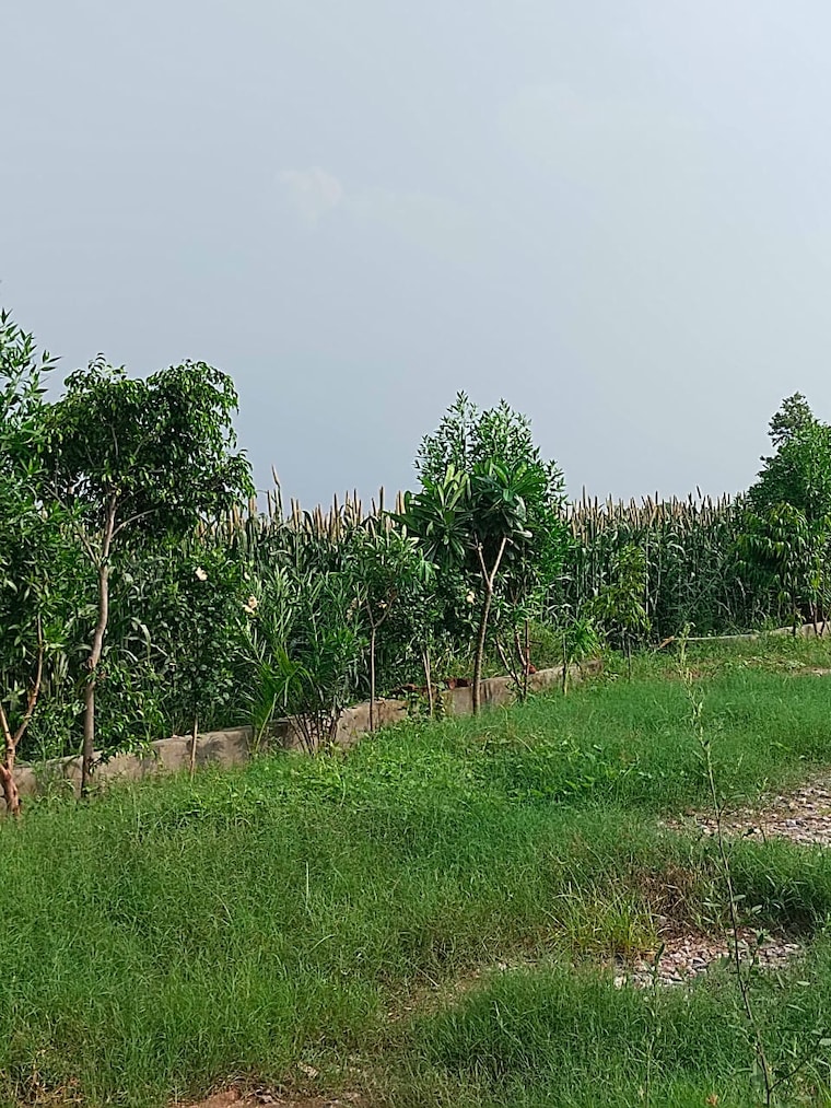 undefined, amolik-aster-woods  177 Sq.Yd. Plot In Sector 98 Faridabad 10098691