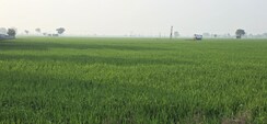 Plot For Sale in Phase 4