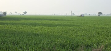 Plot Area in  Plot at Phase 4 – for Sale