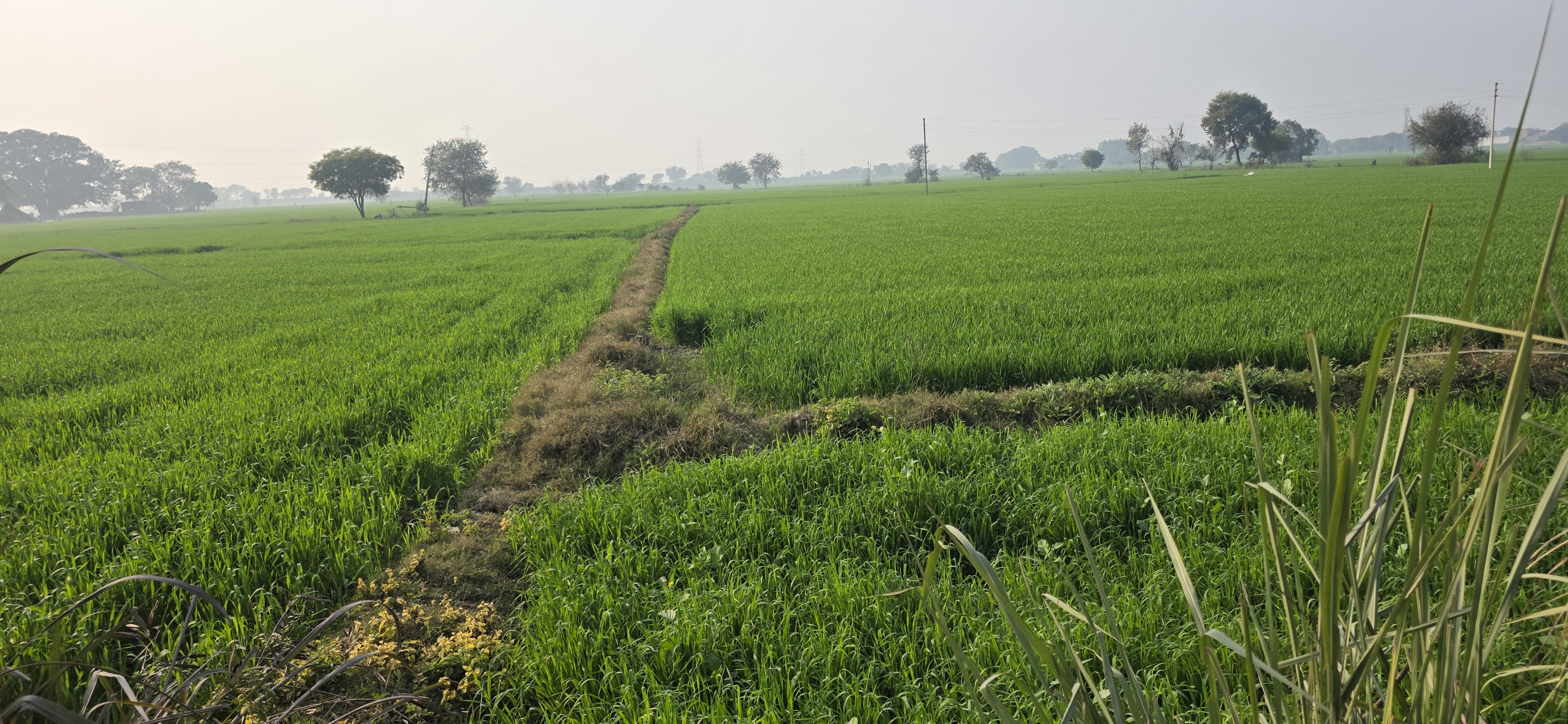Plot For Sale in Phase 4