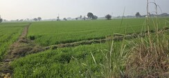Plot For Sale in Phase 4