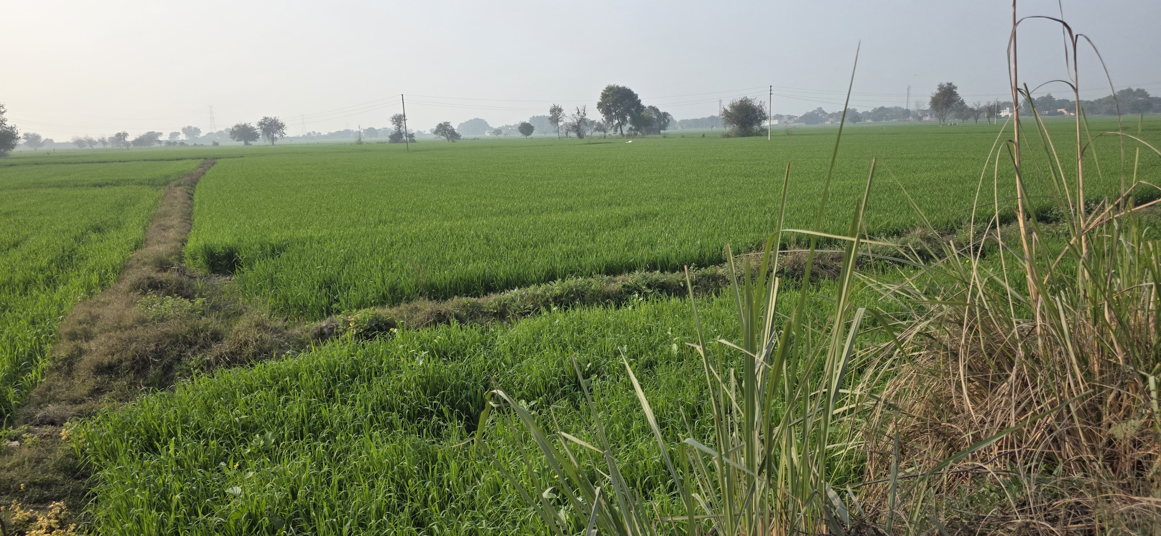 Plot For Sale in Phase 4