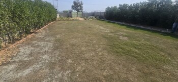 Plot for Sale in Sector 42, Gurgaon