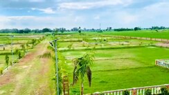 Plot For Sale in Gosainganj