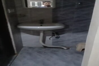1 BHK Flat for Rent in Begumpet, Hyderabad