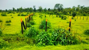 Plot Area in  Plot at Murbad Karjat Road – for Sale