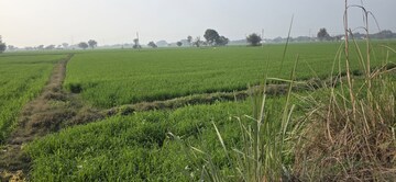  Plot For Sale in Sector 89