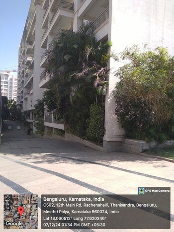 NR Orchid Gardenia