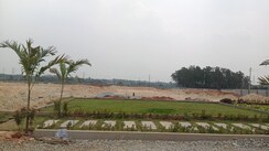 Plot For Sale in Jigani