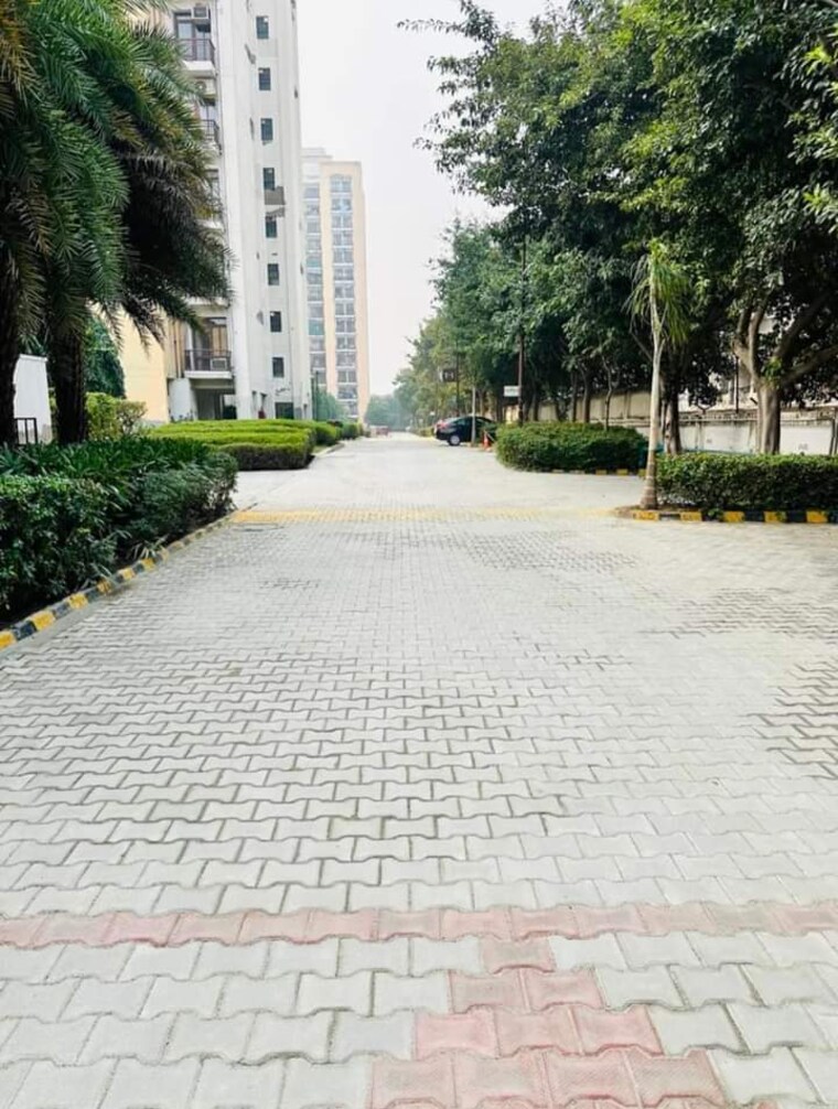 Exterior View, signature-global-synera 3 Bedroom 800 Sq.Ft. Apartment In Sector 81 Gurgaon 10127200