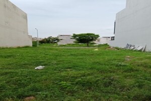 Plot Area in  Plot at Mullanpur – for Sale