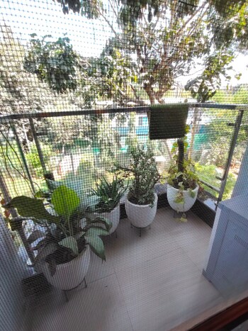 3 BHK Flat for Rent in Vasant Kunj, Delhi
