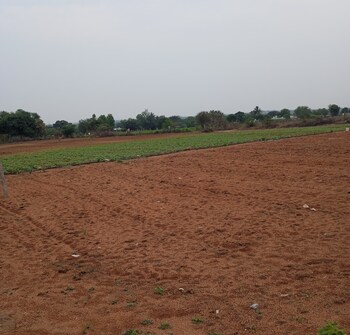 Land for Sale in Shamirpet, Hyderabad