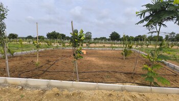 Plot for Sale in Kandi, Hyderabad