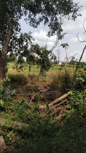 Plot for Sale in Loutolim, Goa