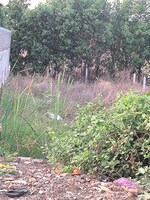 2500 Sq.Ft. Land in Dhamani Road