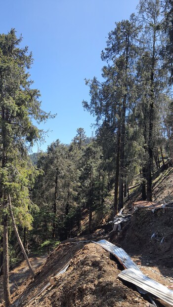Plot for Sale in Kufri, Shimla