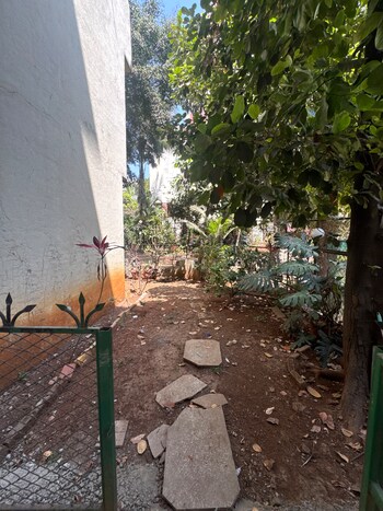 Patil Natasha Hill View