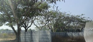 Plot Area in  Plot at Shamshabad – for Sale