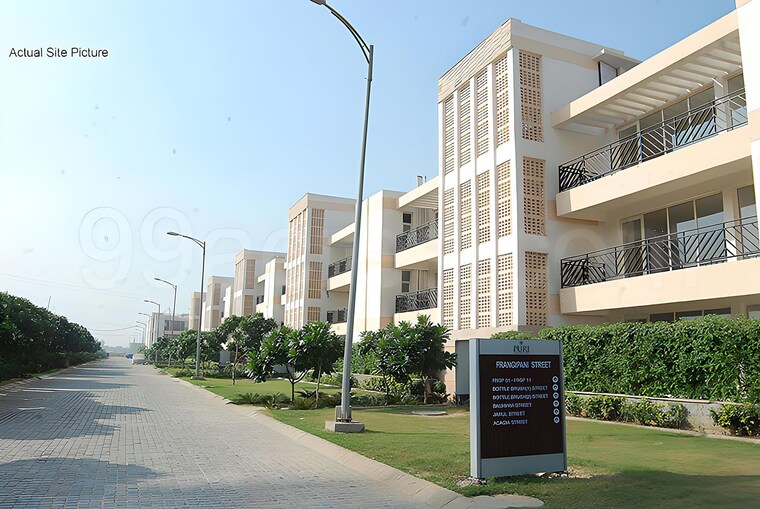 Exterior View, puri-vip-floors 4 Bedroom 4500 Sq.Ft. Builder Floor In Sector 81 Faridabad 10177122