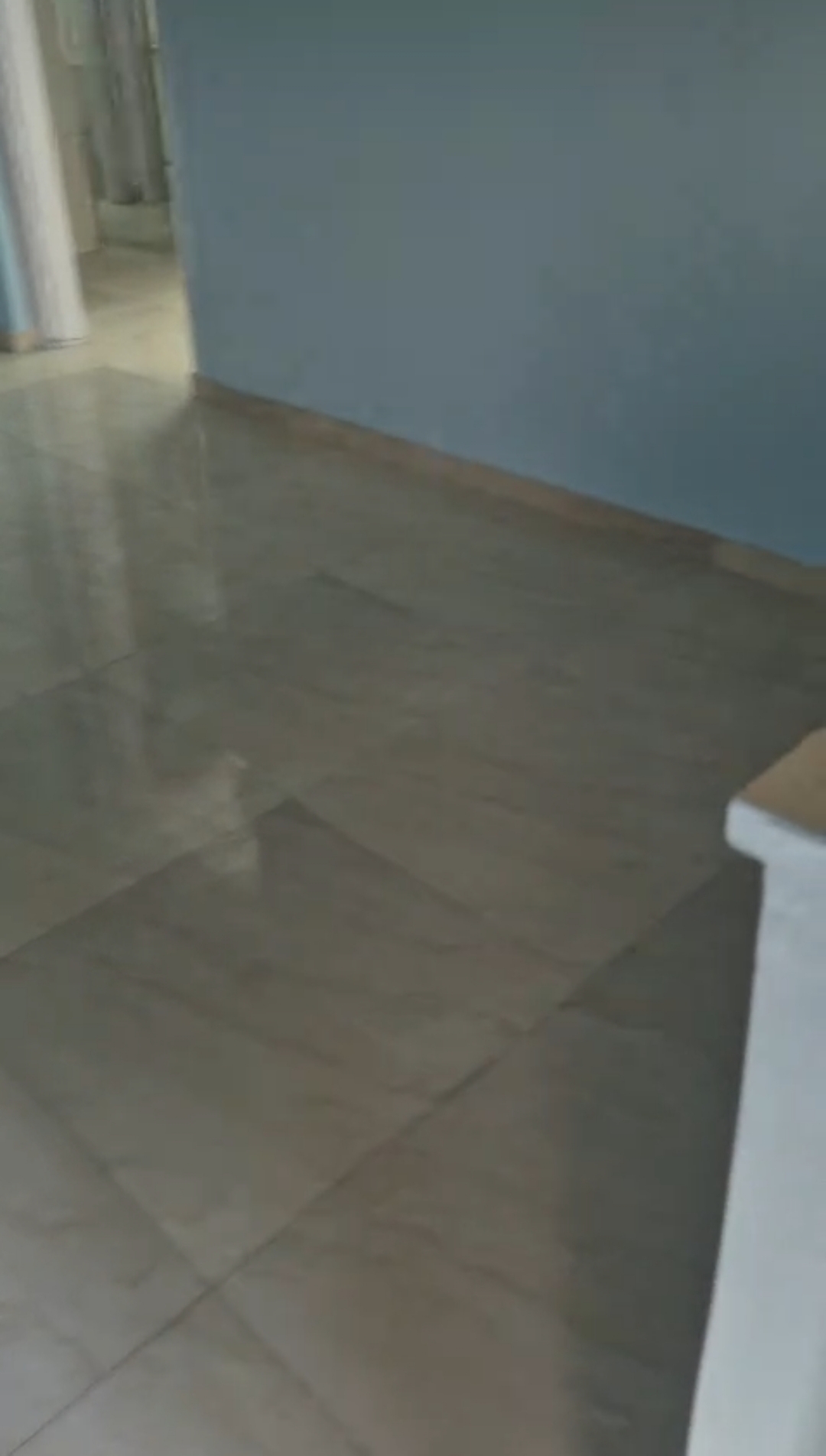 1 BHK Apartment For Rent in Ashirwad CHS Dadar East