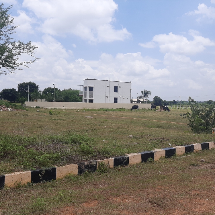 Plot For Sale in Kothur