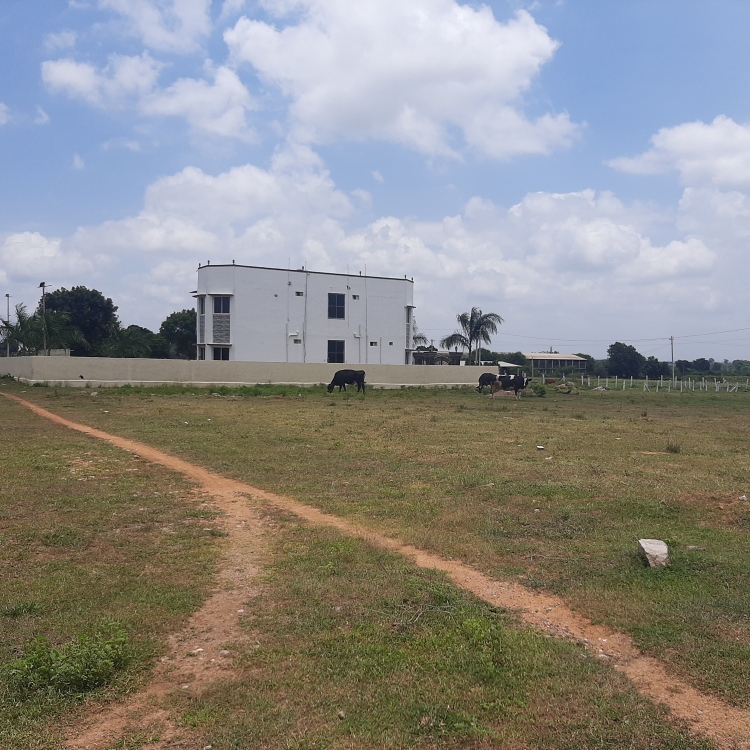 Plot For Sale in Kothur
