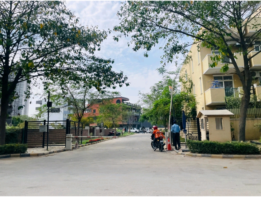 2.5 BHK + Study Room Apartment For Rent in Emaar MGF Emerald Hills
