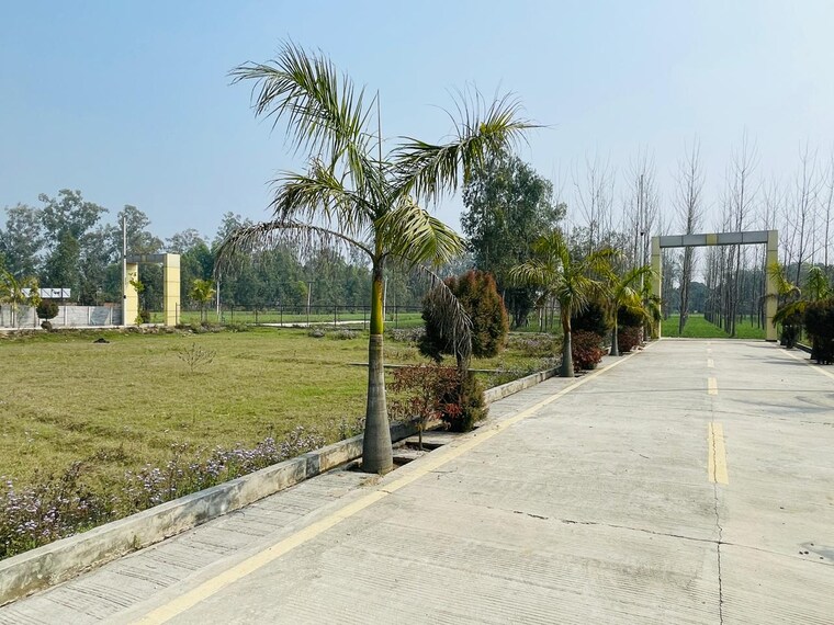 undefined, biharigarh  109 Sq.Yd. Plot In Biharigarh Dehradun 10177917