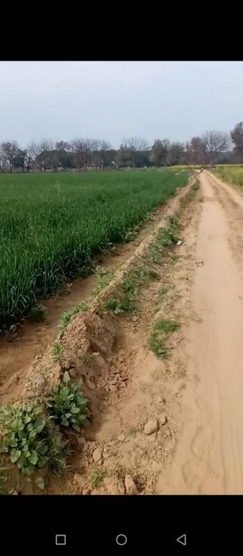 Land for Sale in Pipli, Kurukshetra