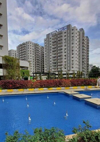 Jains Carlton Creek