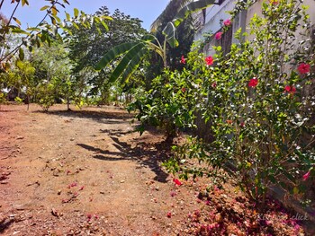 Plot for Sale in Pattom, Thiruvananthapuram