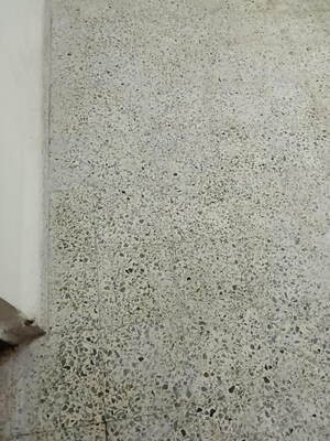 Plot Area in 1 BHK Apartment at Meera Nagar Garden CHS, Koregaon Park – for Rent