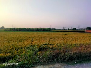 Plot Area in  Plot at Modinagar – for Sale