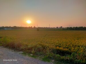 Plot Area in  Plot at Modinagar – for Sale