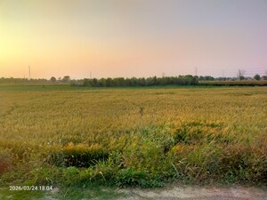 Plot Area in  Plot at Modinagar – for Sale