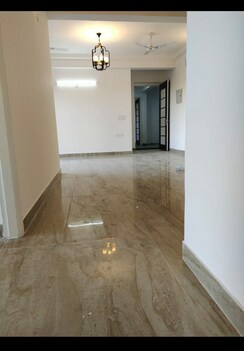 3 BHK + Pooja Room Builder Floor For Rent in Chattarpur