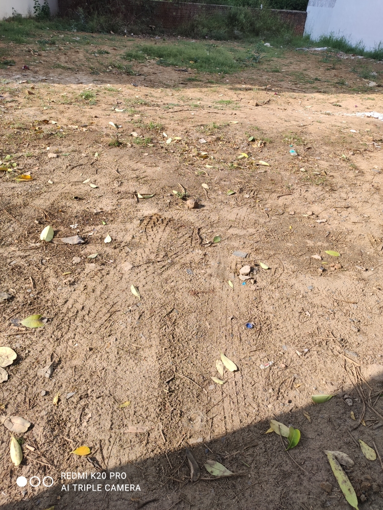 Plot For Sale in DLF Phase I