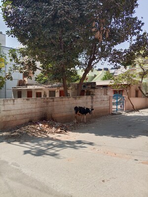  Plot – Exterior View View at Ramamurthy Nagar - for Sale