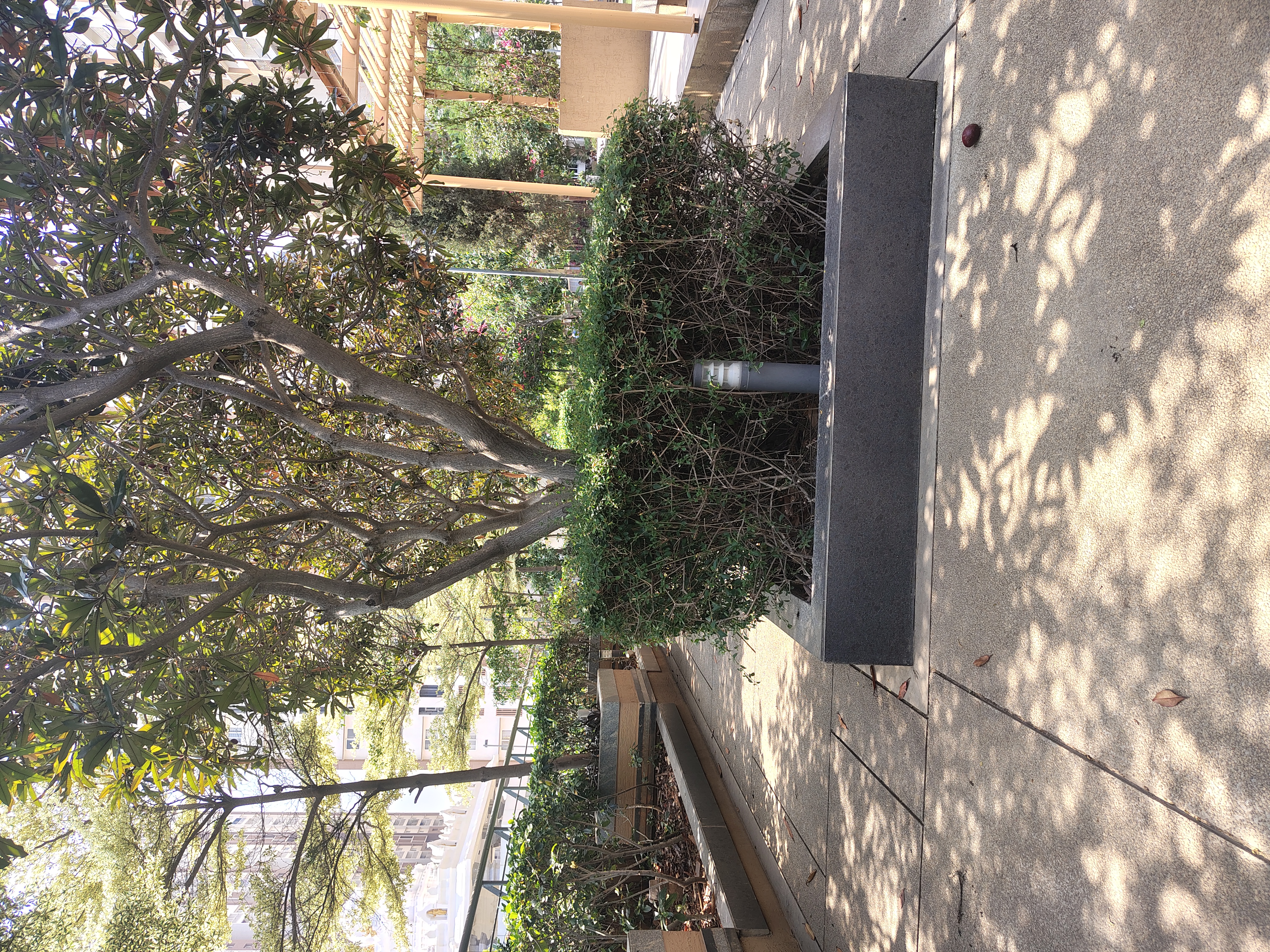 3 BHK + Pooja Room Apartment For Rent in Aparna Zenon