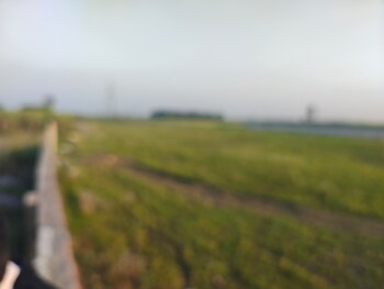 Land for Sale in Jani, Meerut